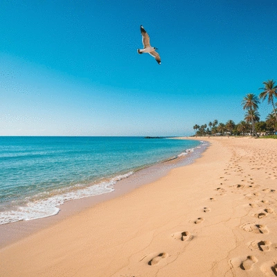 Close-up of a nutritionist explaining a personalized meal plan to a client in a modern office setting